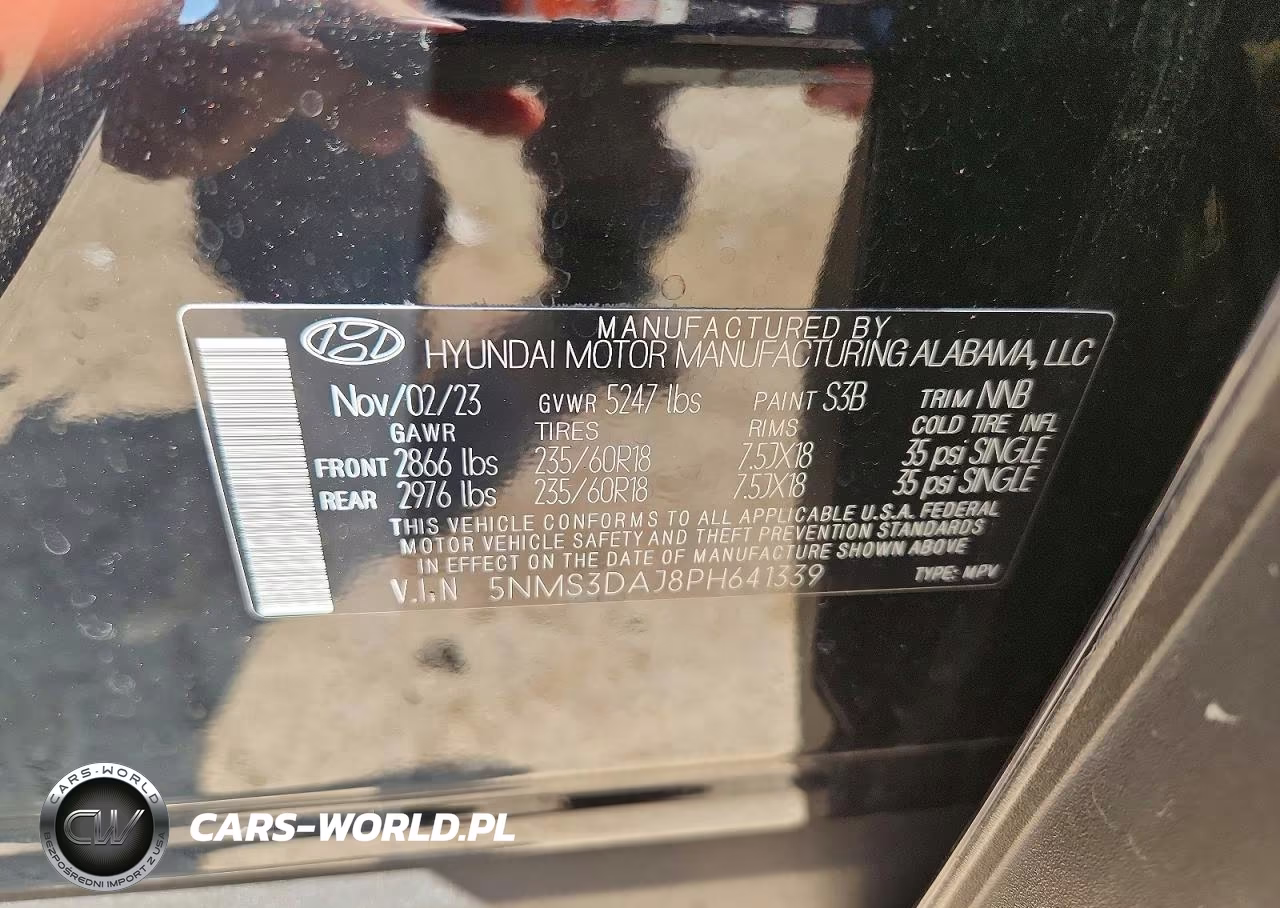 2023 Hyundai Santa Fe Sel Premium VIN:5NMS3DAJ8PH641339 - 12