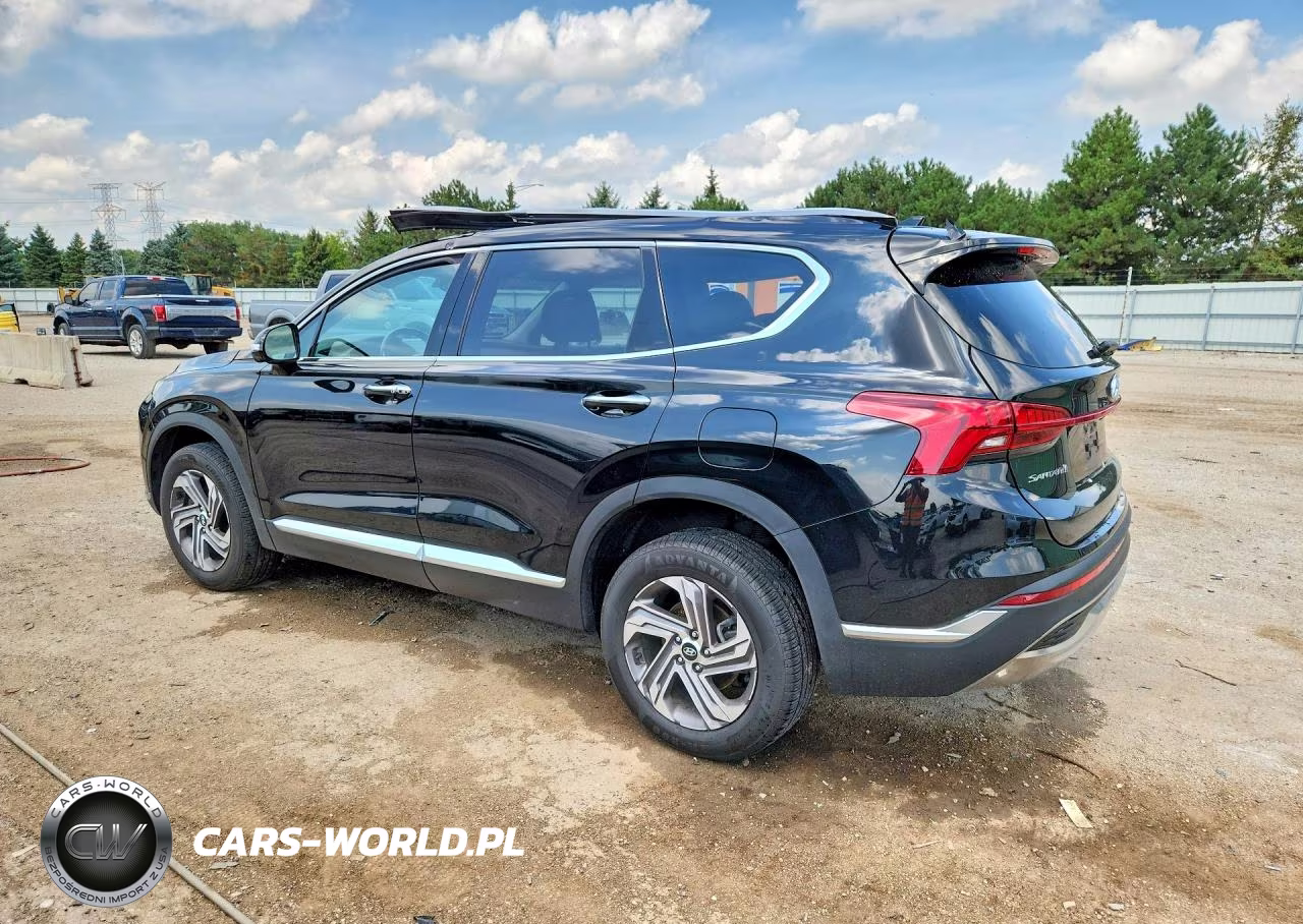 2023 Hyundai Santa Fe Sel Premium VIN:5NMS3DAJ8PH641339 - 2