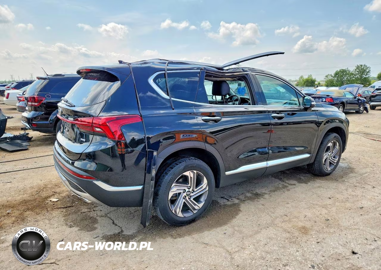 2023 Hyundai Santa Fe Sel Premium VIN:5NMS3DAJ8PH641339 - 3