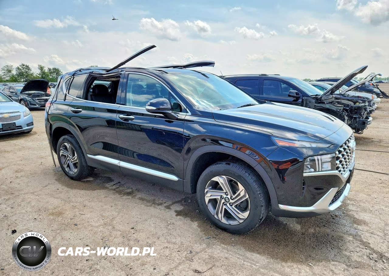 2023 Hyundai Santa Fe Sel Premium VIN:5NMS3DAJ8PH641339 - 4