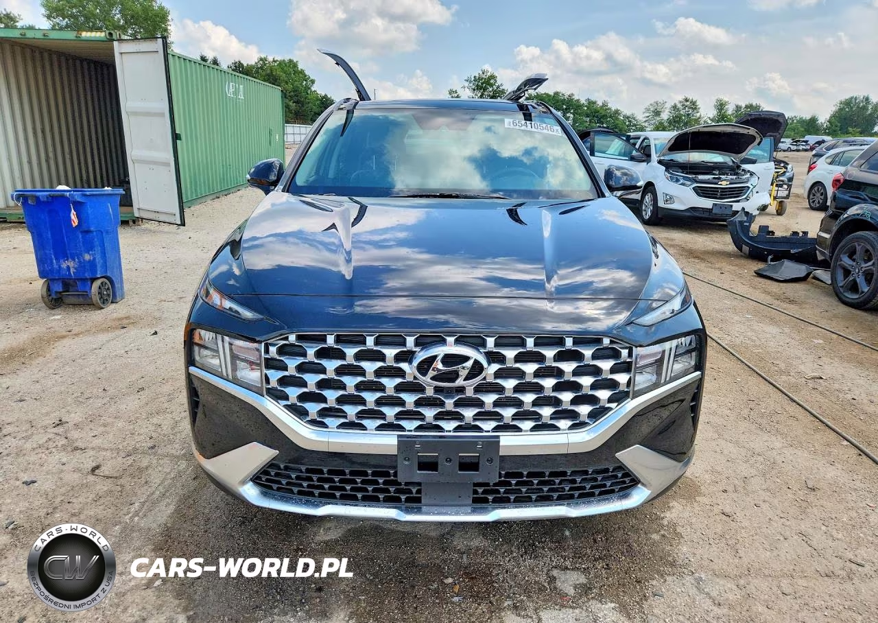 2023 Hyundai Santa Fe Sel Premium VIN:5NMS3DAJ8PH641339 - 5