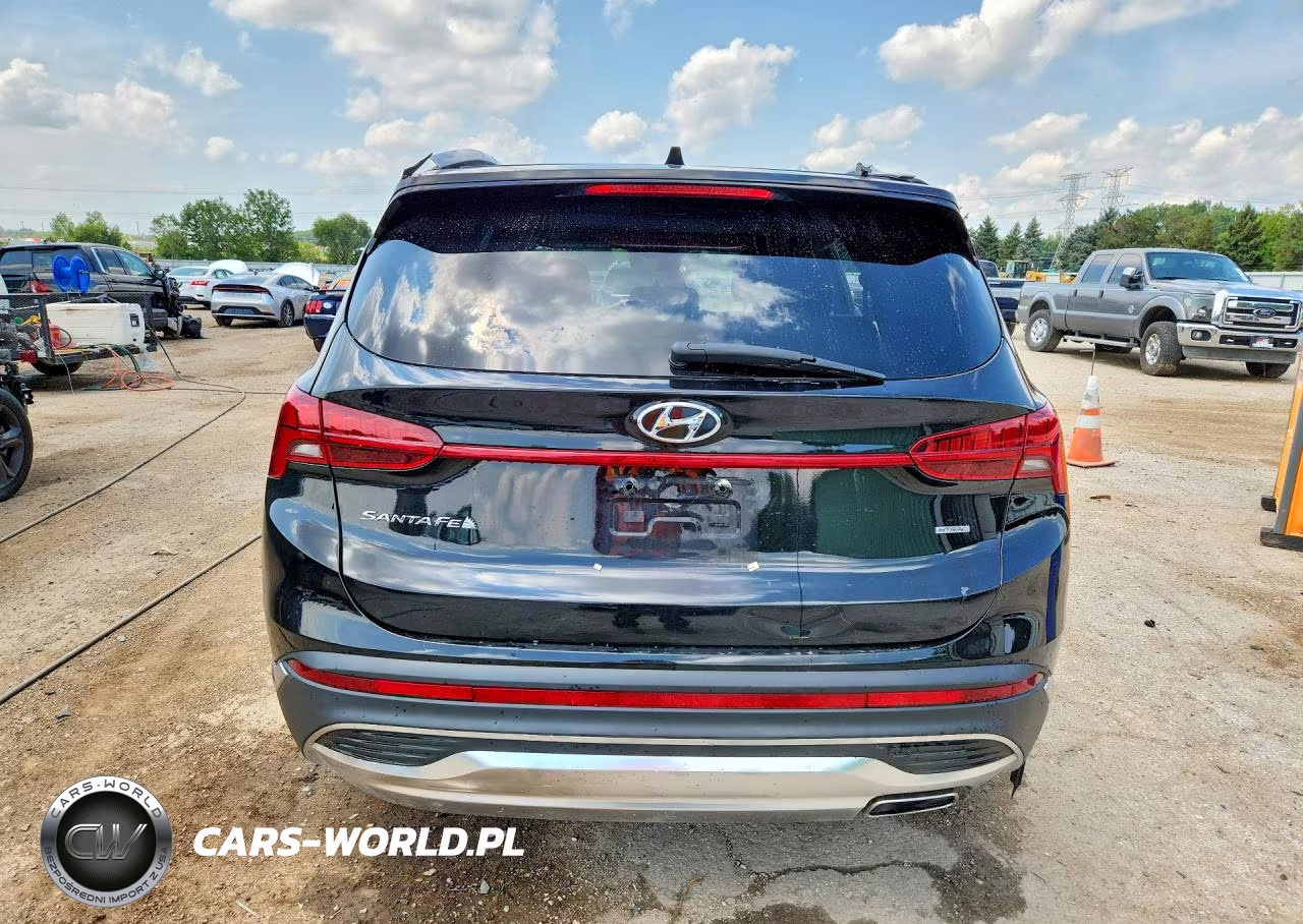 2023 Hyundai Santa Fe Sel Premium VIN:5NMS3DAJ8PH641339 - 6