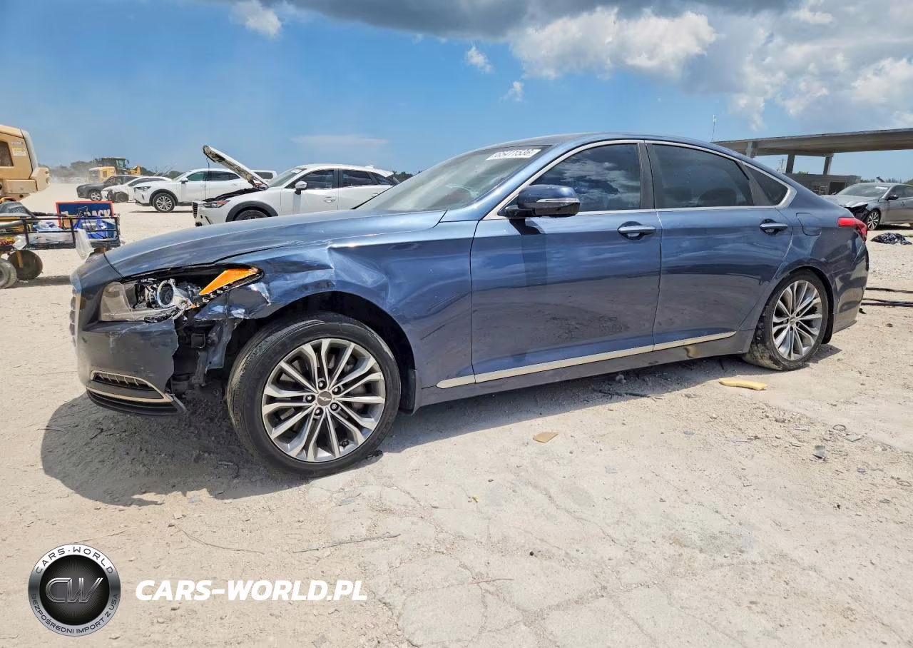 2016 Hyundai Genesis 3.8L VIN:KMHGN4JE1GU119319 - 1