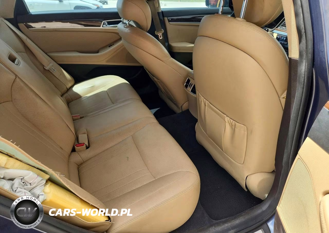 2016 Hyundai Genesis 3.8L VIN:KMHGN4JE1GU119319 - 10