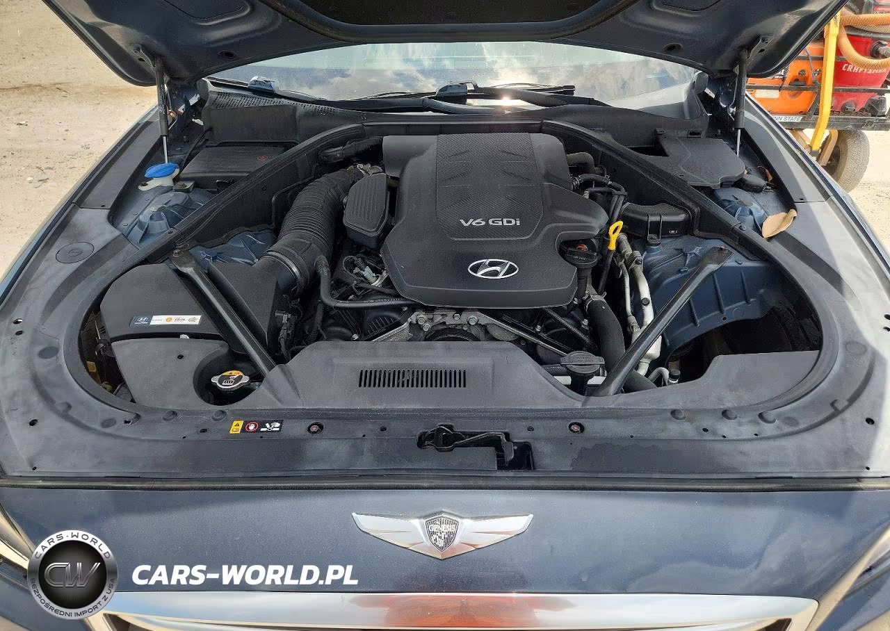 2016 Hyundai Genesis 3.8L VIN:KMHGN4JE1GU119319 - 11