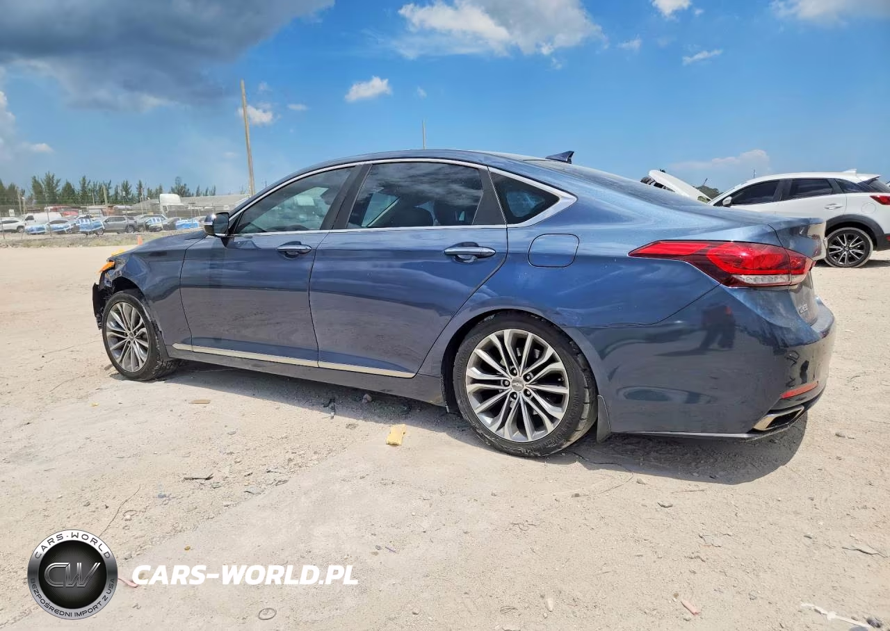 2016 Hyundai Genesis 3.8L VIN:KMHGN4JE1GU119319 - 2