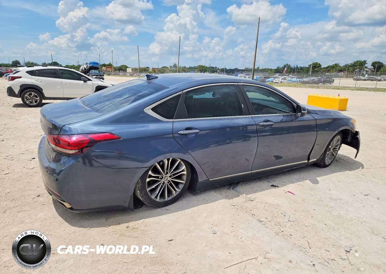 2016 Hyundai Genesis 3.8L VIN:KMHGN4JE1GU119319 - 3