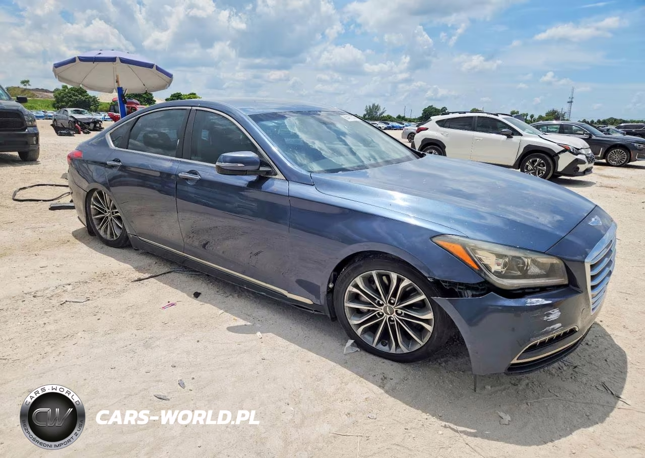 2016 Hyundai Genesis 3.8L VIN:KMHGN4JE1GU119319 - 4