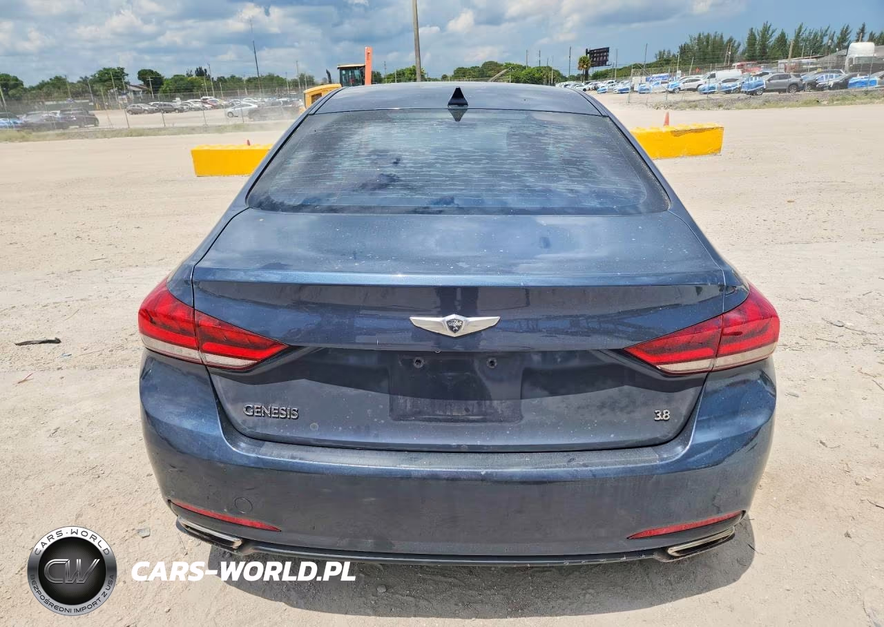 2016 Hyundai Genesis 3.8L VIN:KMHGN4JE1GU119319 - 6
