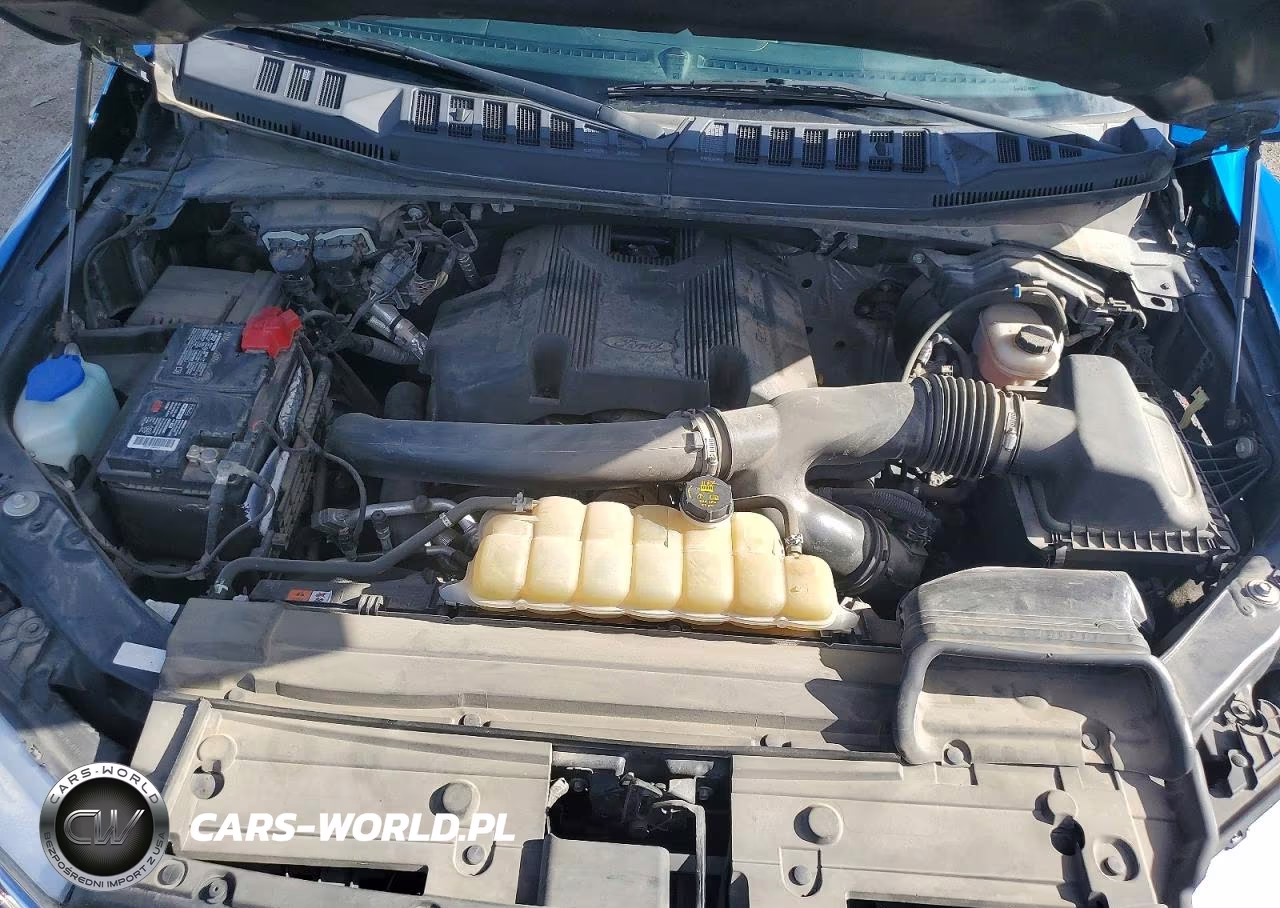 2019 Ford F150 Supercrew VIN:1FTEW1E46KKE06670 - 11