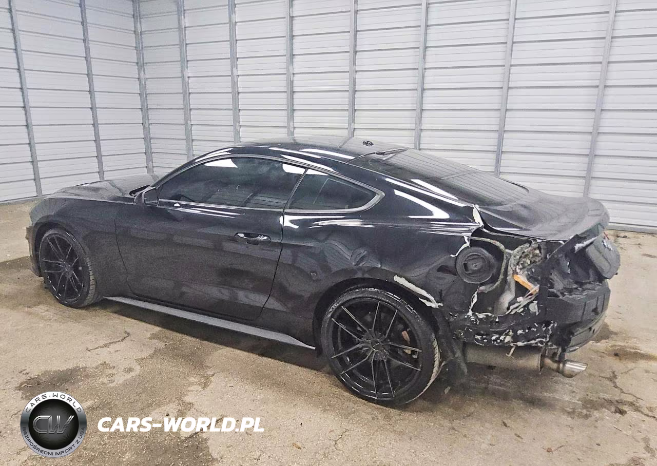 2019 Ford Mustang VIN:1FA6P8TH4K5116836 - 2