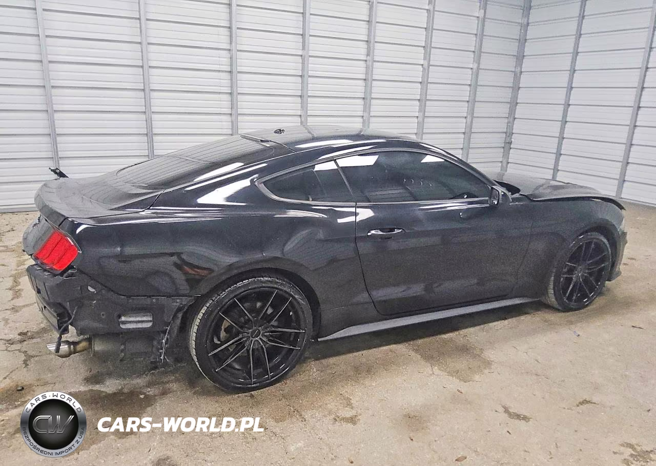 2019 Ford Mustang VIN:1FA6P8TH4K5116836 - 3