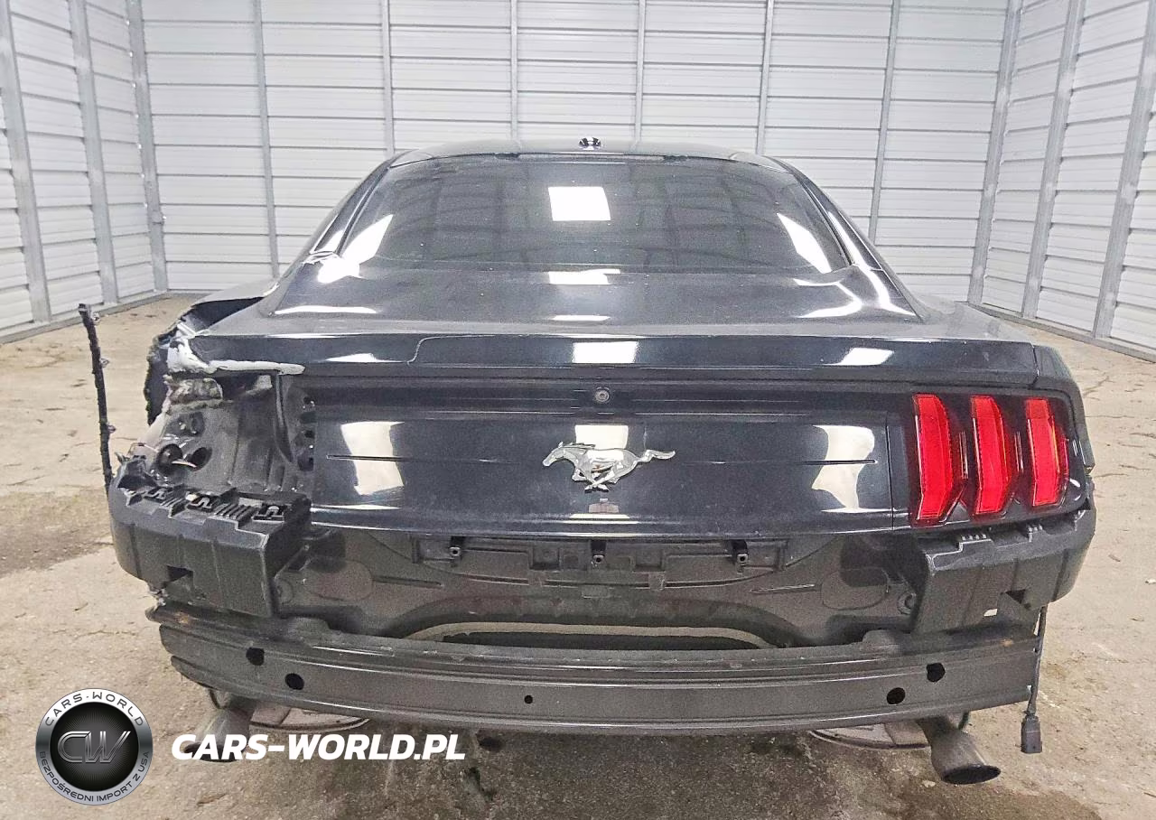 2019 Ford Mustang VIN:1FA6P8TH4K5116836 - 6