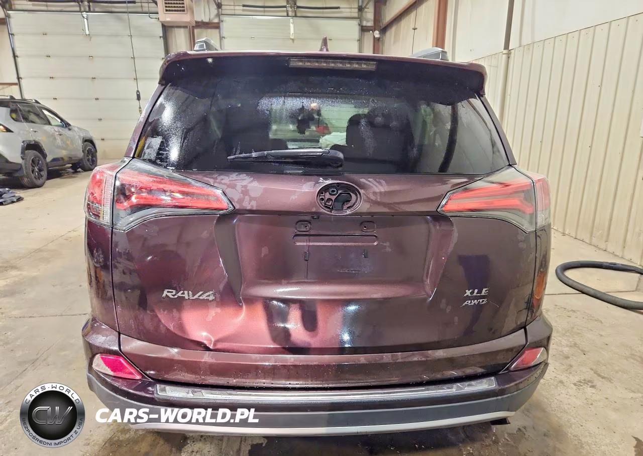 2017 Toyota Rav4 Xle VIN:2T3RFREV6HW655141 - 6