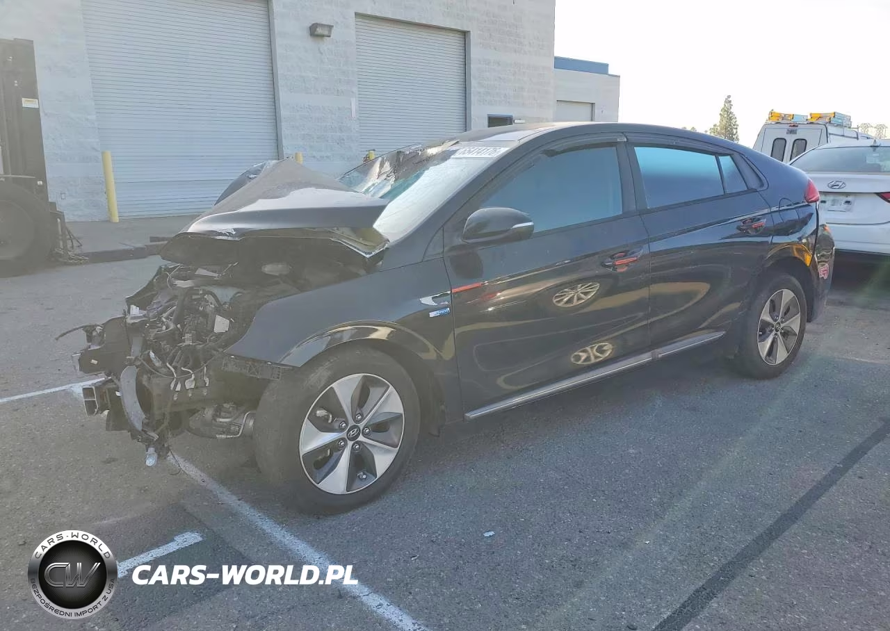 2019 Hyundai Ioniq Electric Base VIN:KMHC75LH1KU050470 - 1