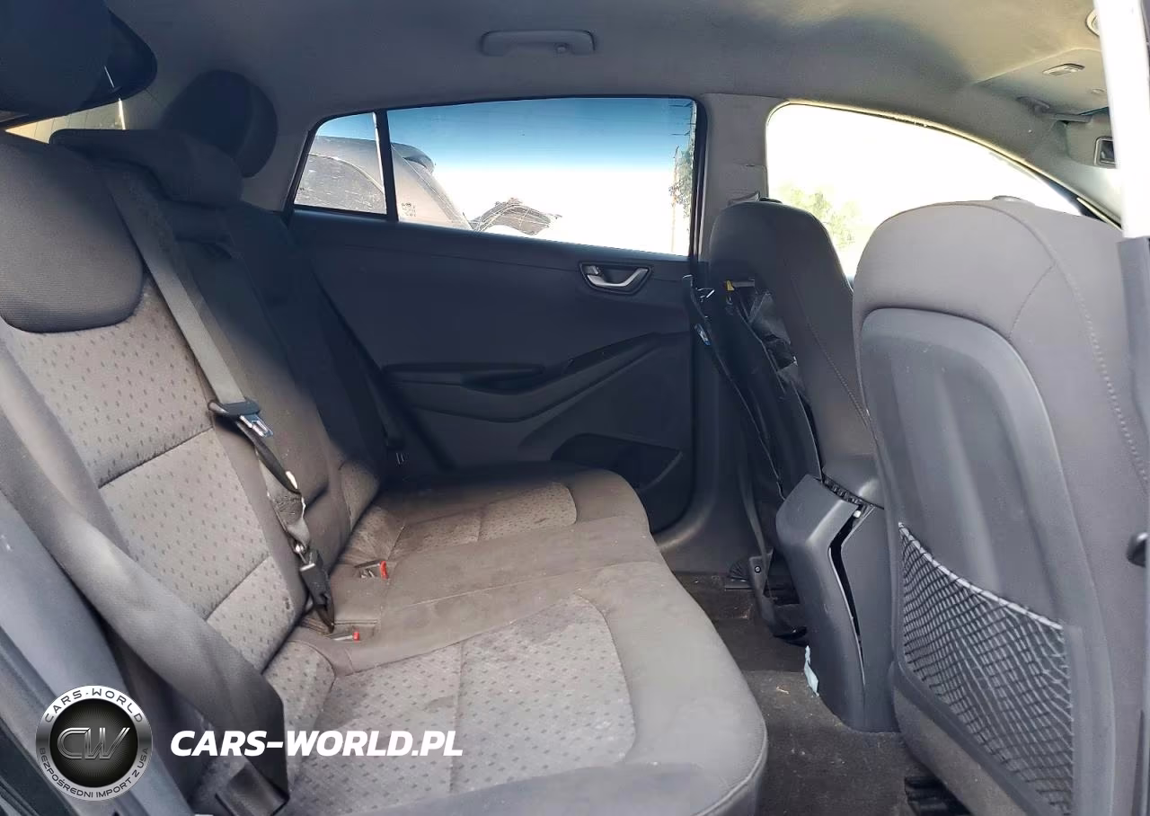 2019 Hyundai Ioniq Electric Base VIN:KMHC75LH1KU050470 - 10