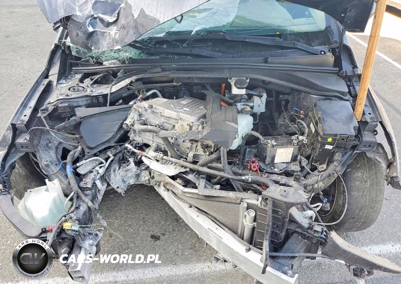 2019 Hyundai Ioniq Electric Base VIN:KMHC75LH1KU050470 - 11