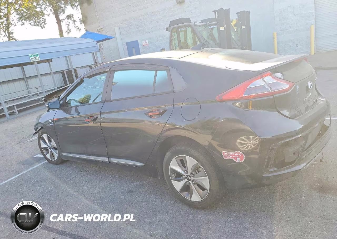 2019 Hyundai Ioniq Electric Base VIN:KMHC75LH1KU050470 - 2