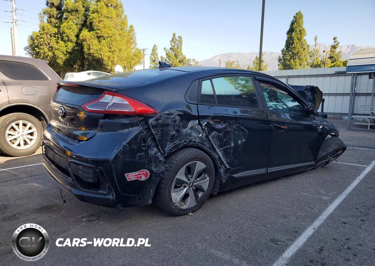 2019 Hyundai Ioniq Electric Base VIN:KMHC75LH1KU050470 - 3