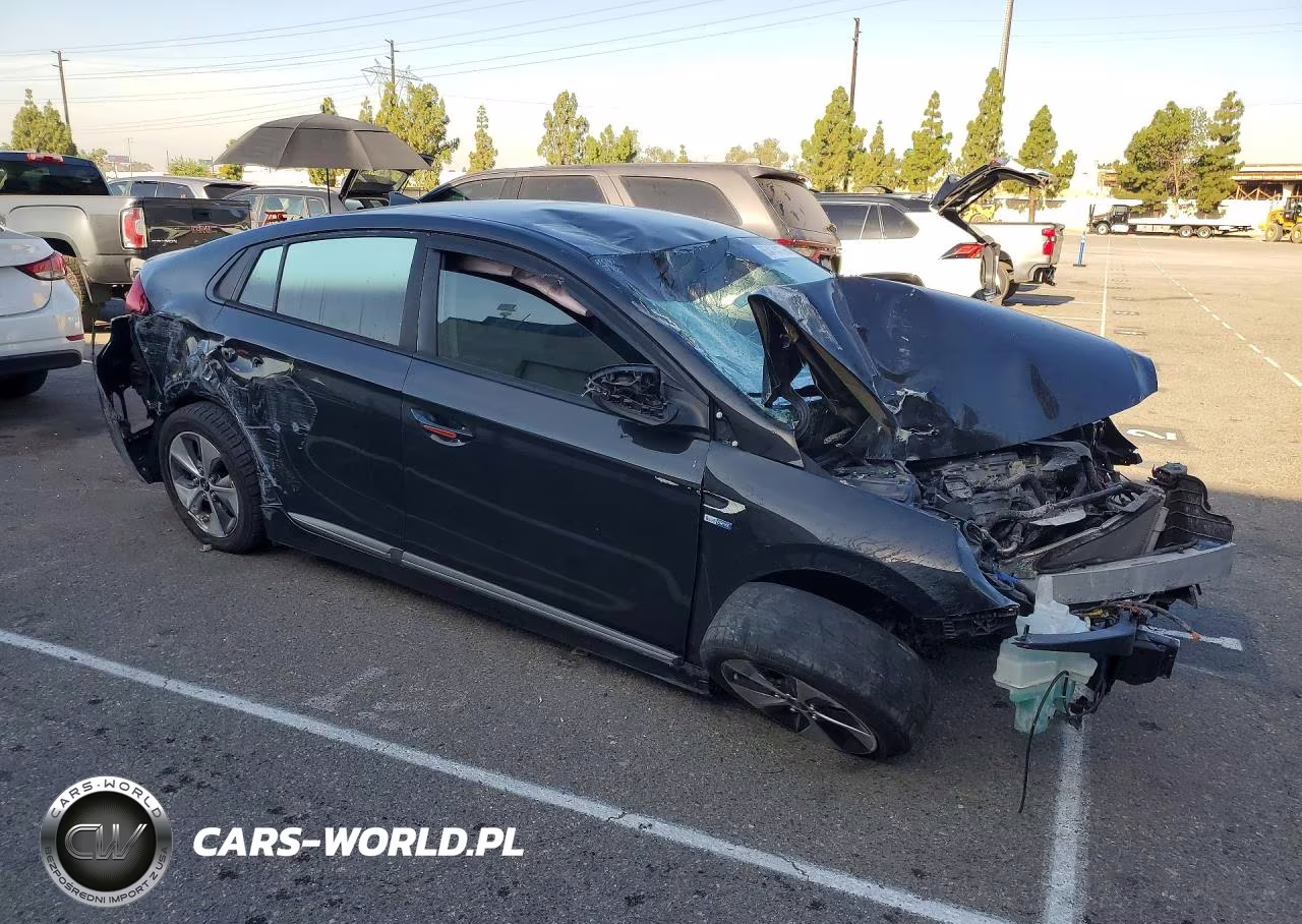 2019 Hyundai Ioniq Electric Base VIN:KMHC75LH1KU050470 - 4