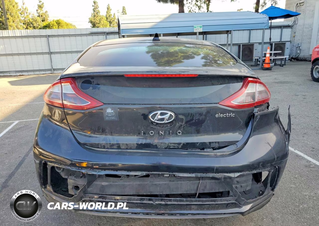 2019 Hyundai Ioniq Electric Base VIN:KMHC75LH1KU050470 - 6