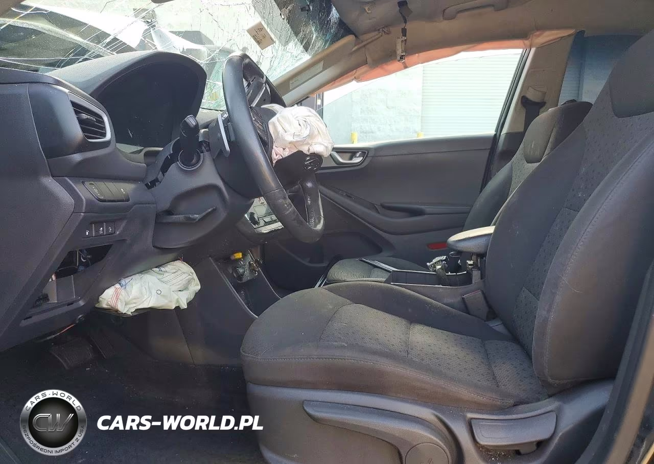 2019 Hyundai Ioniq Electric Base VIN:KMHC75LH1KU050470 - 7