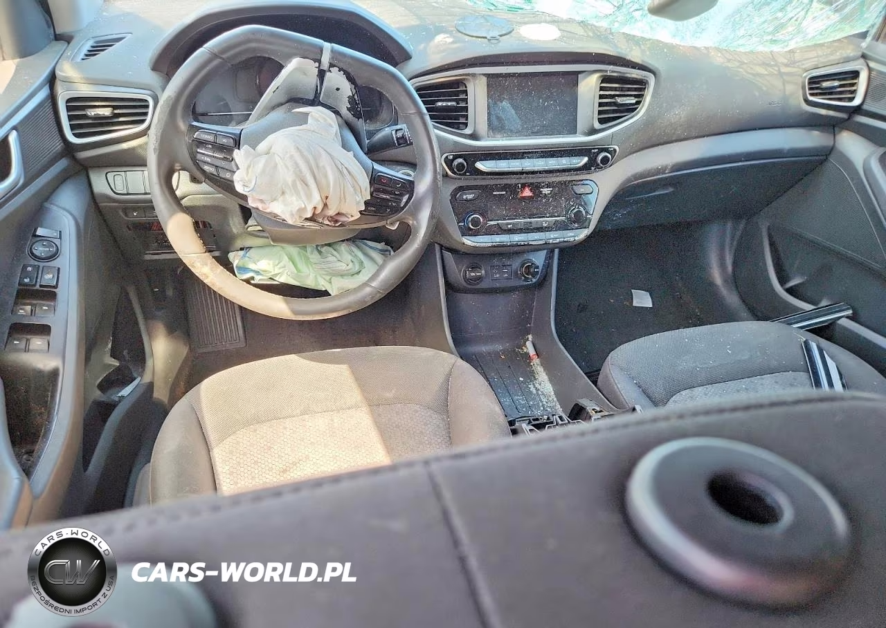 2019 Hyundai Ioniq Electric Base VIN:KMHC75LH1KU050470 - 8