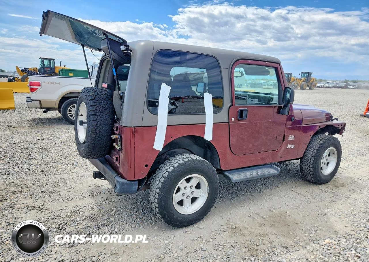 2004 Jeep Wrangler - Tj Sahara VIN:1J4FA59S84P703457 - 3