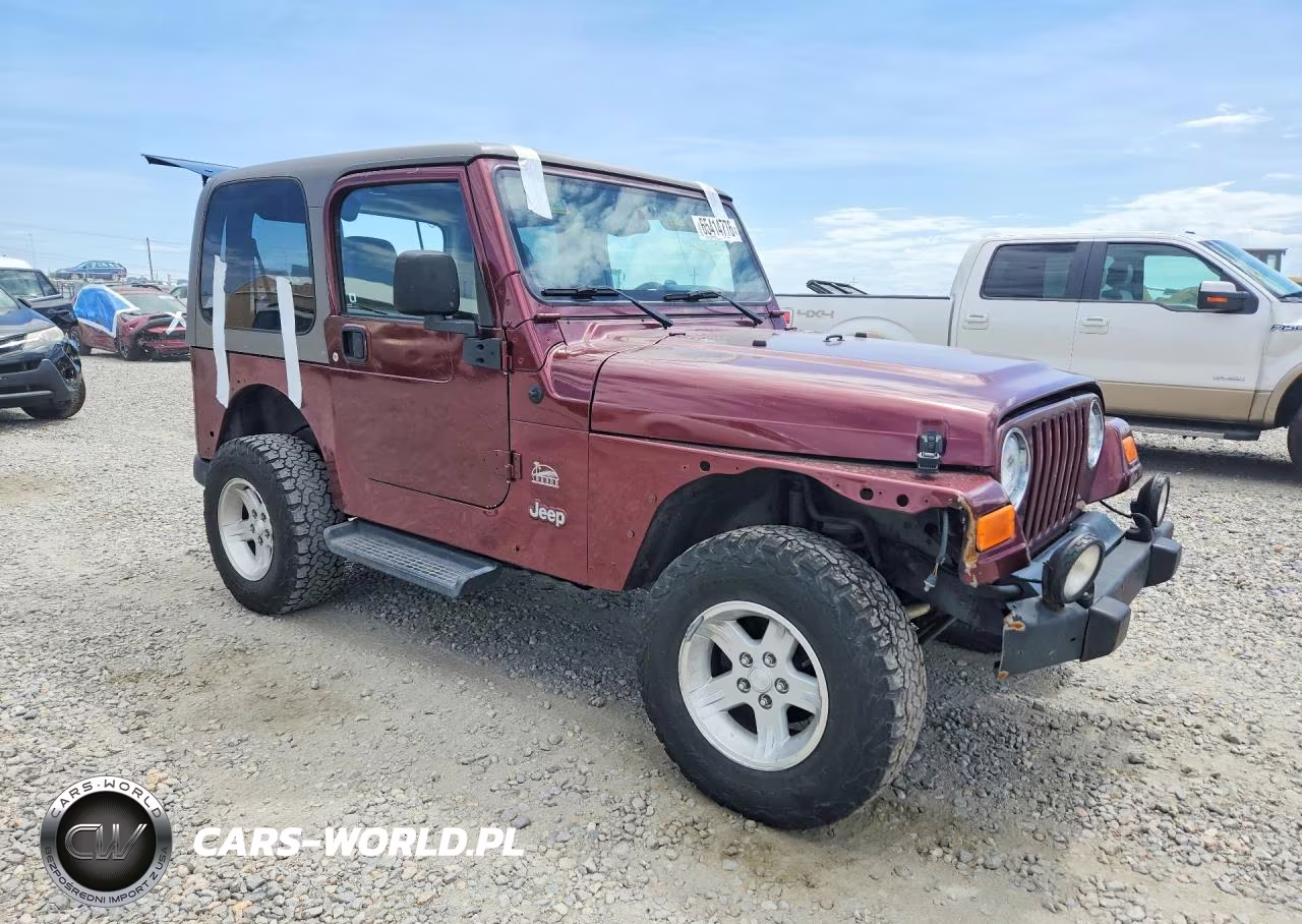 2004 Jeep Wrangler - Tj Sahara VIN:1J4FA59S84P703457 - 4