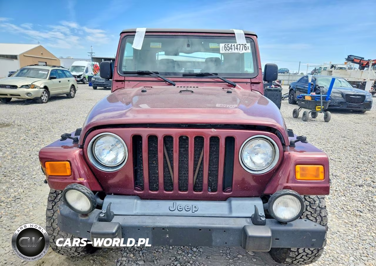 2004 Jeep Wrangler - Tj Sahara VIN:1J4FA59S84P703457 - 5