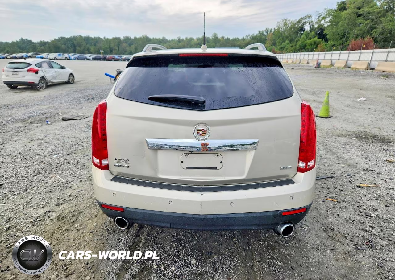 2013 Cadillac Srx Luxury Collection VIN:3GYFNCE38DS554315 - 6