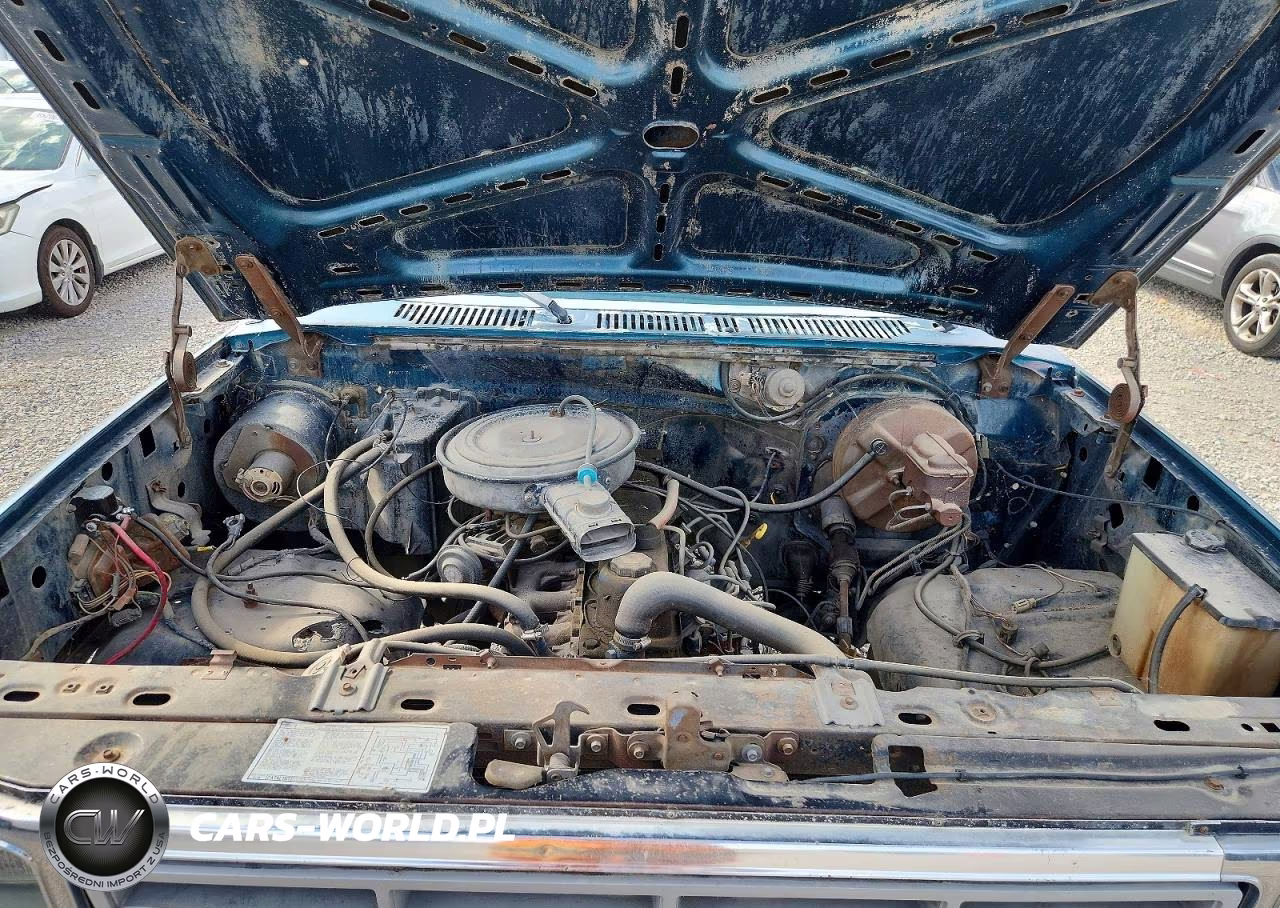 1983 Ford F150 VIN:1FTEF14Y7DPA14551 - 11