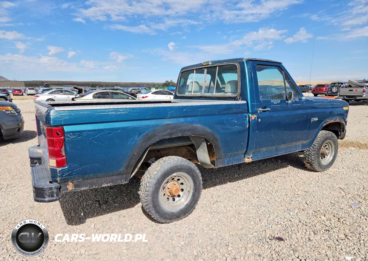 1983 Ford F150 VIN:1FTEF14Y7DPA14551 - 3