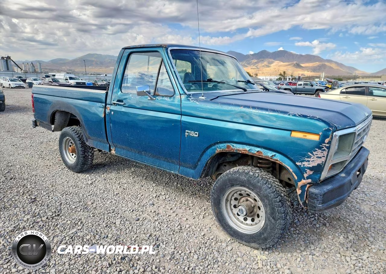 1983 Ford F150 VIN:1FTEF14Y7DPA14551 - 4