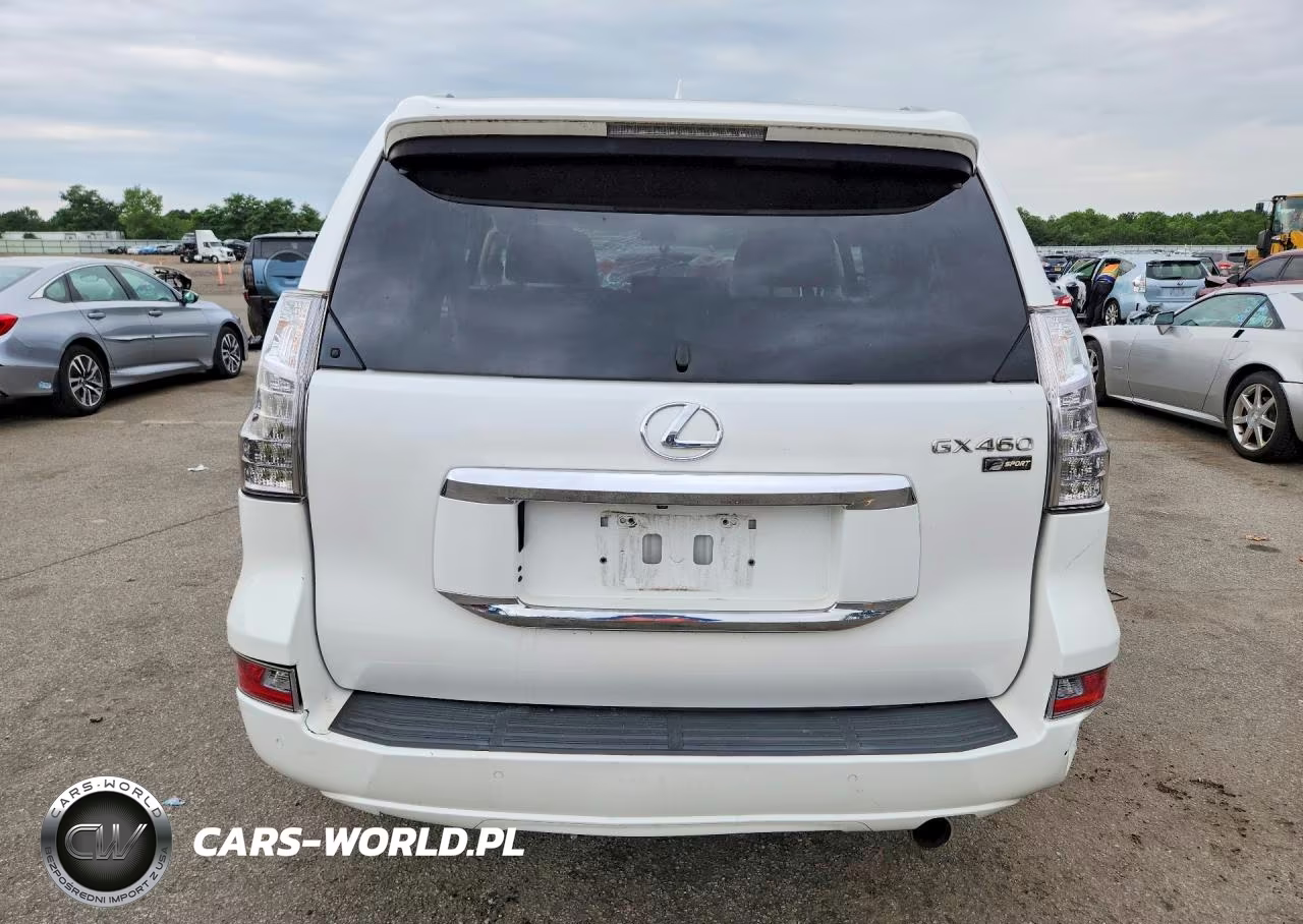 2018 Lexus Gx 460 VIN:JTJBM7FX7J5188334 - 6