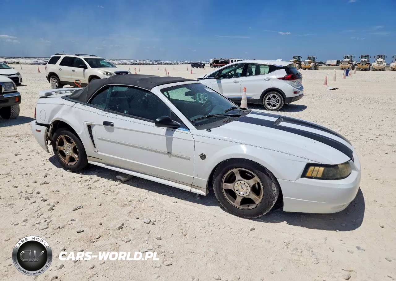 2004 Ford Mustang VIN:1FAFP44654F204653 - 4