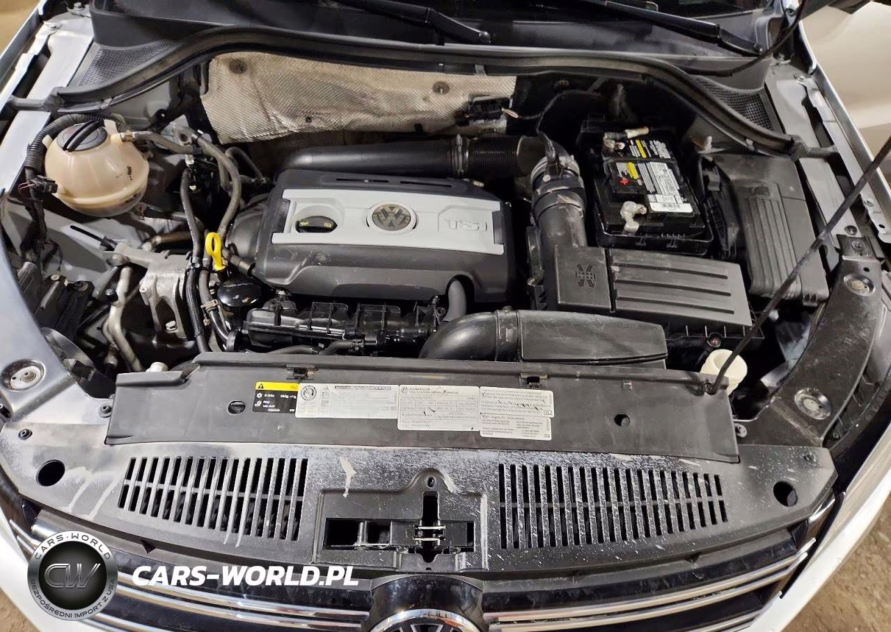 2015 Volkswagen Tiguan S VIN:WVGBV7AX0FW585467 - 12