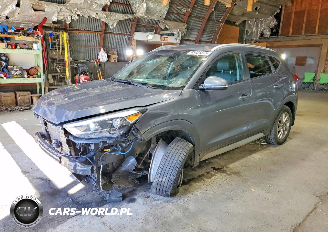 2017 Hyundai Tucson Se Plus VIN:KM8J3CA4XHU419889 - 1