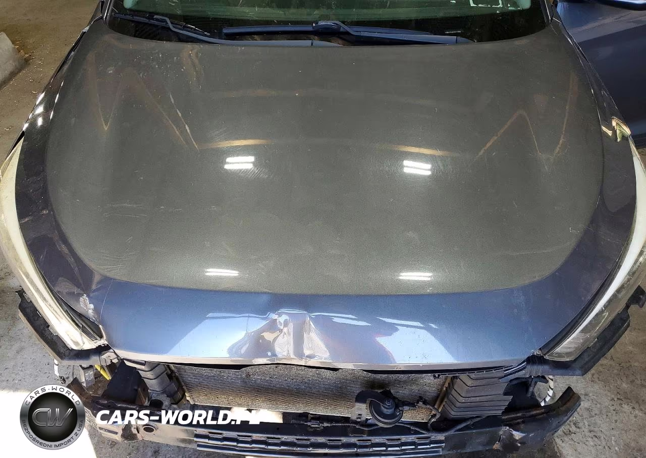 2017 Hyundai Tucson Se Plus VIN:KM8J3CA4XHU419889 - 12