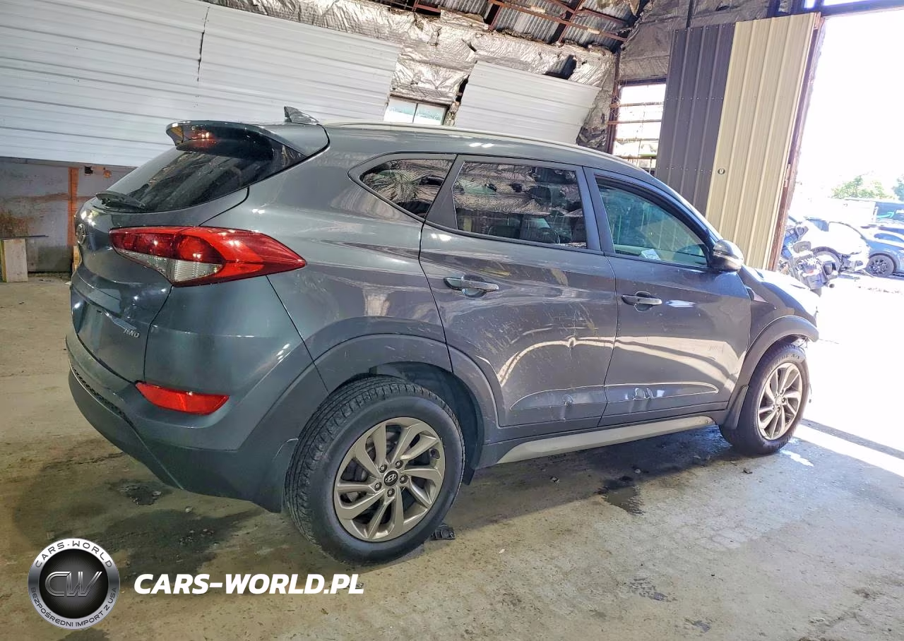 2017 Hyundai Tucson Se Plus VIN:KM8J3CA4XHU419889 - 3