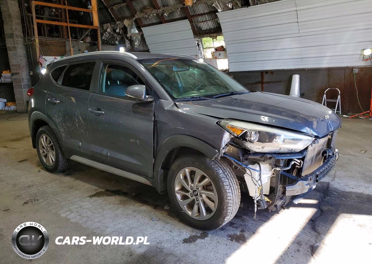 2017 Hyundai Tucson Se Plus VIN:KM8J3CA4XHU419889 - 4