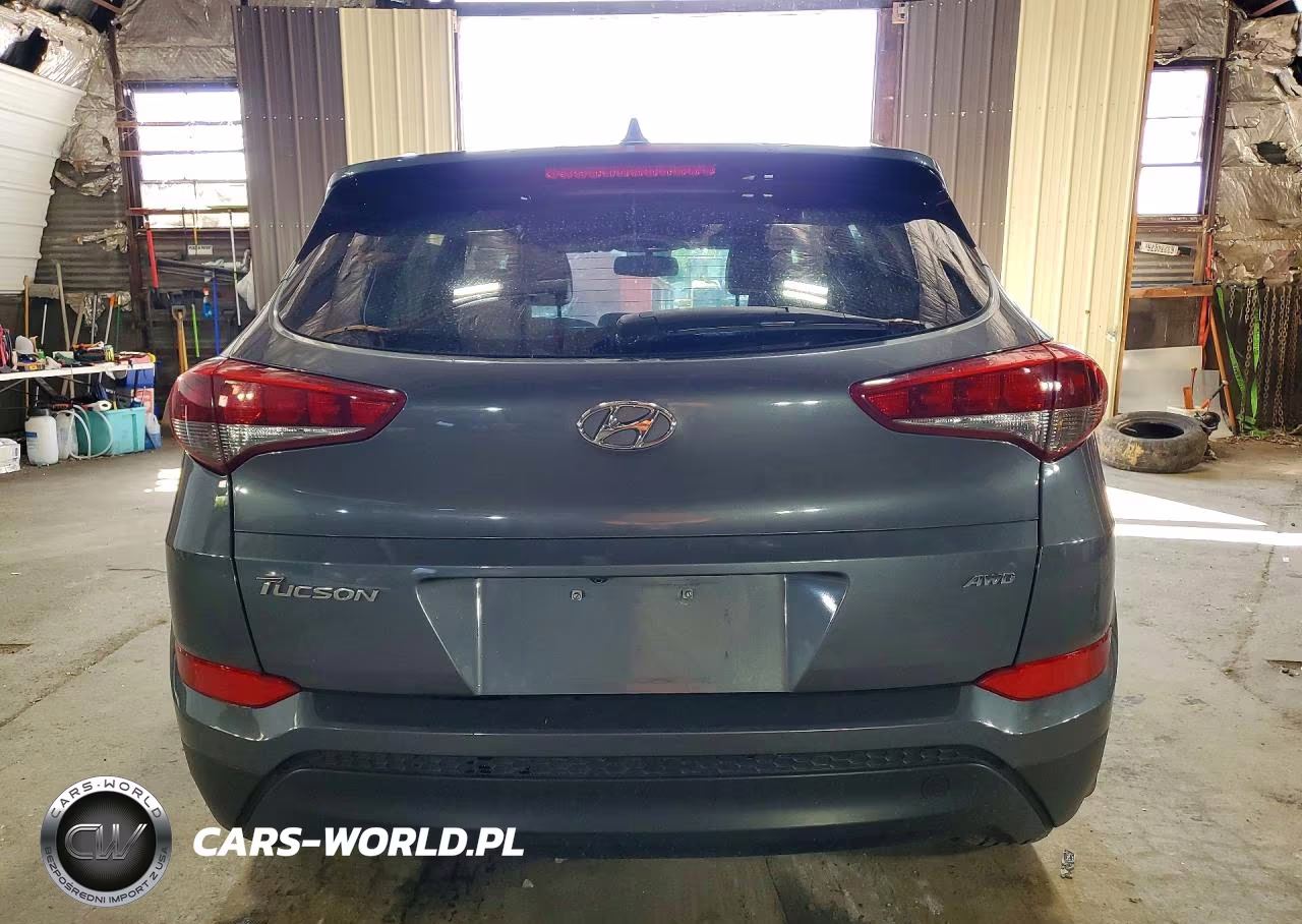 2017 Hyundai Tucson Se Plus VIN:KM8J3CA4XHU419889 - 6