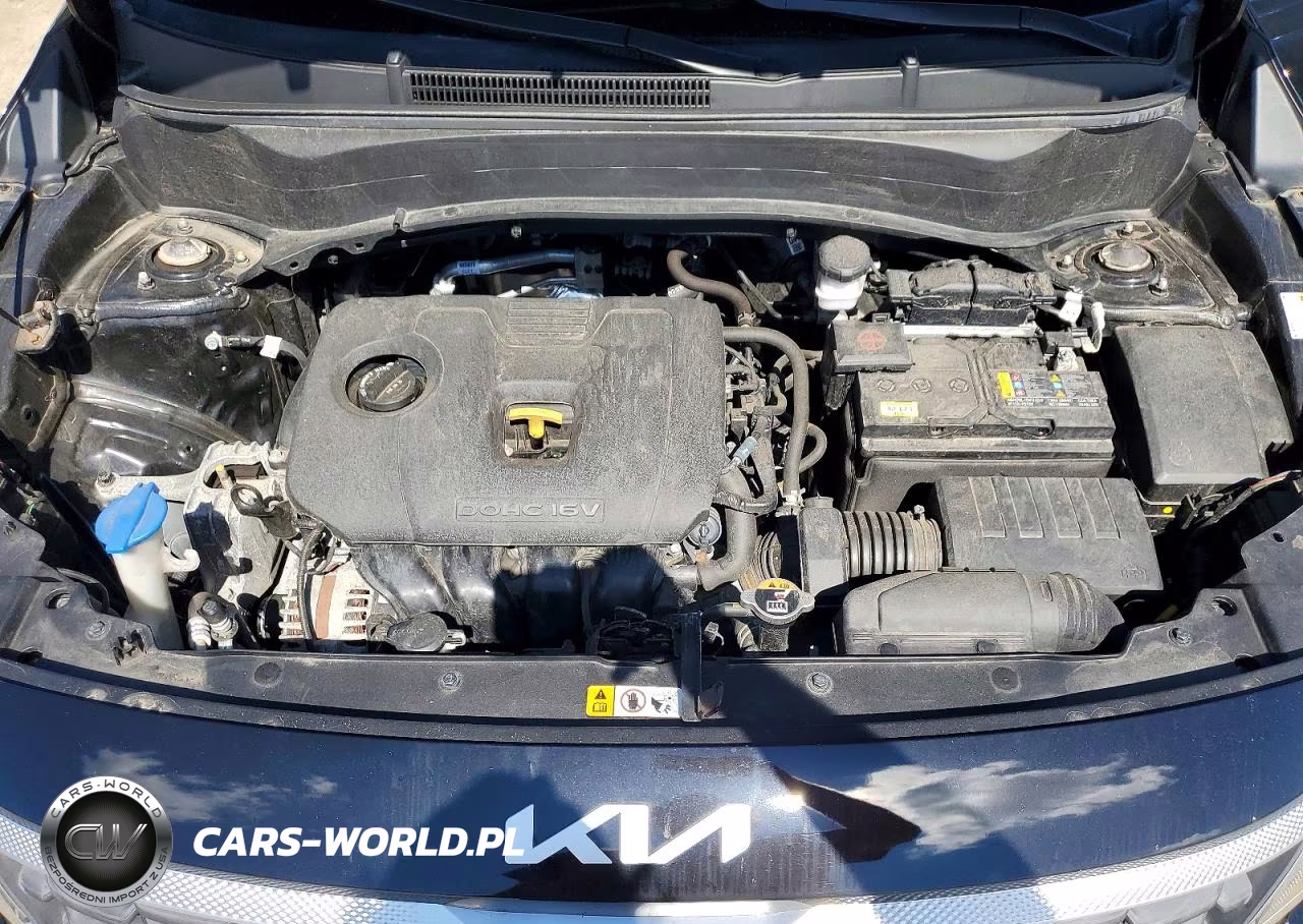 2023 Kia Seltos Lx VIN:KNDEPCAA0P7372076 - 12