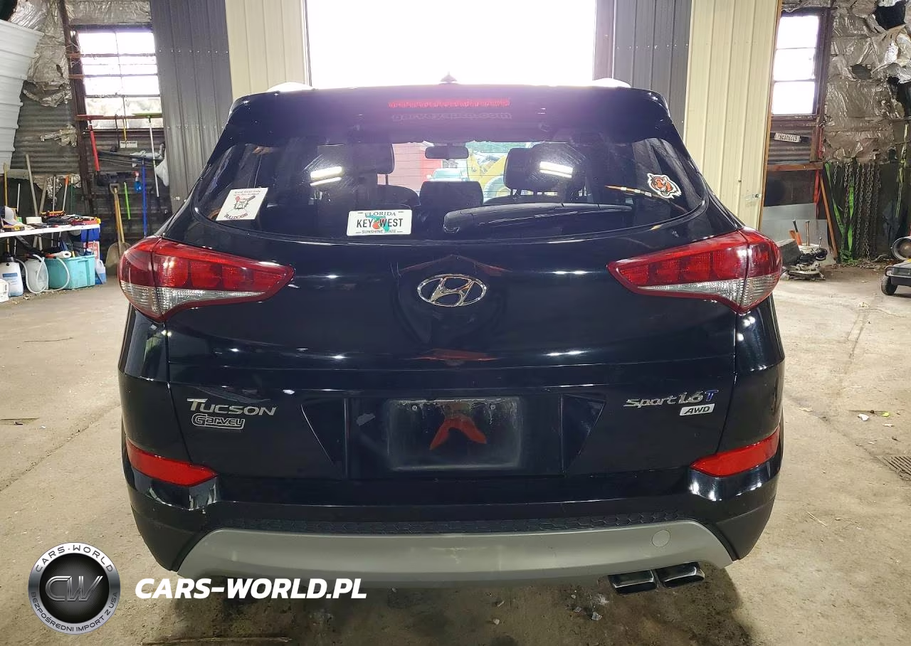 2017 Hyundai Tucson Sport VIN:KM8J3CA26HU532043 - 6