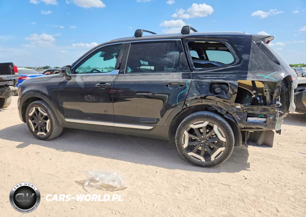 2024 Kia Telluride Ex VIN:5XYP34GC5RG517637 - 2