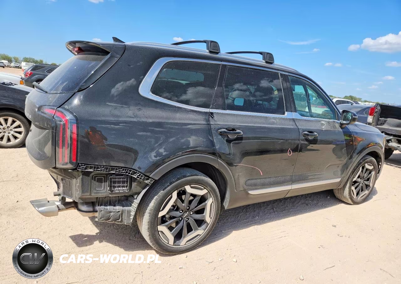 2024 Kia Telluride Ex VIN:5XYP34GC5RG517637 - 3