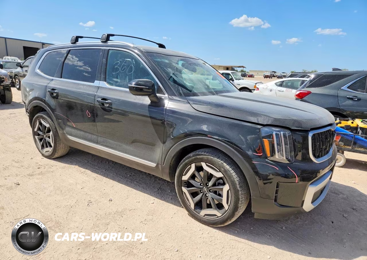 2024 Kia Telluride Ex VIN:5XYP34GC5RG517637 - 4