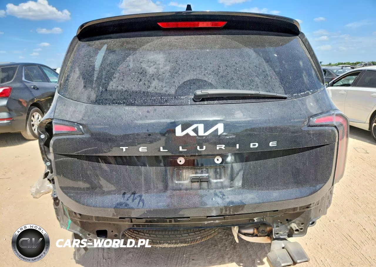 2024 Kia Telluride Ex VIN:5XYP34GC5RG517637 - 6