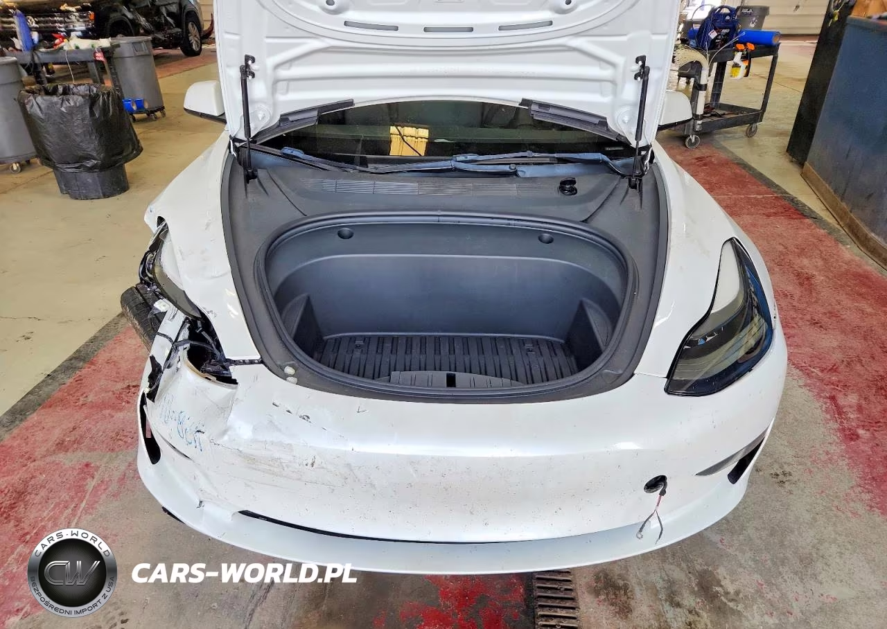 2023 Tesla Model 3 VIN:5YJ3E1EA9PF498698 - 11