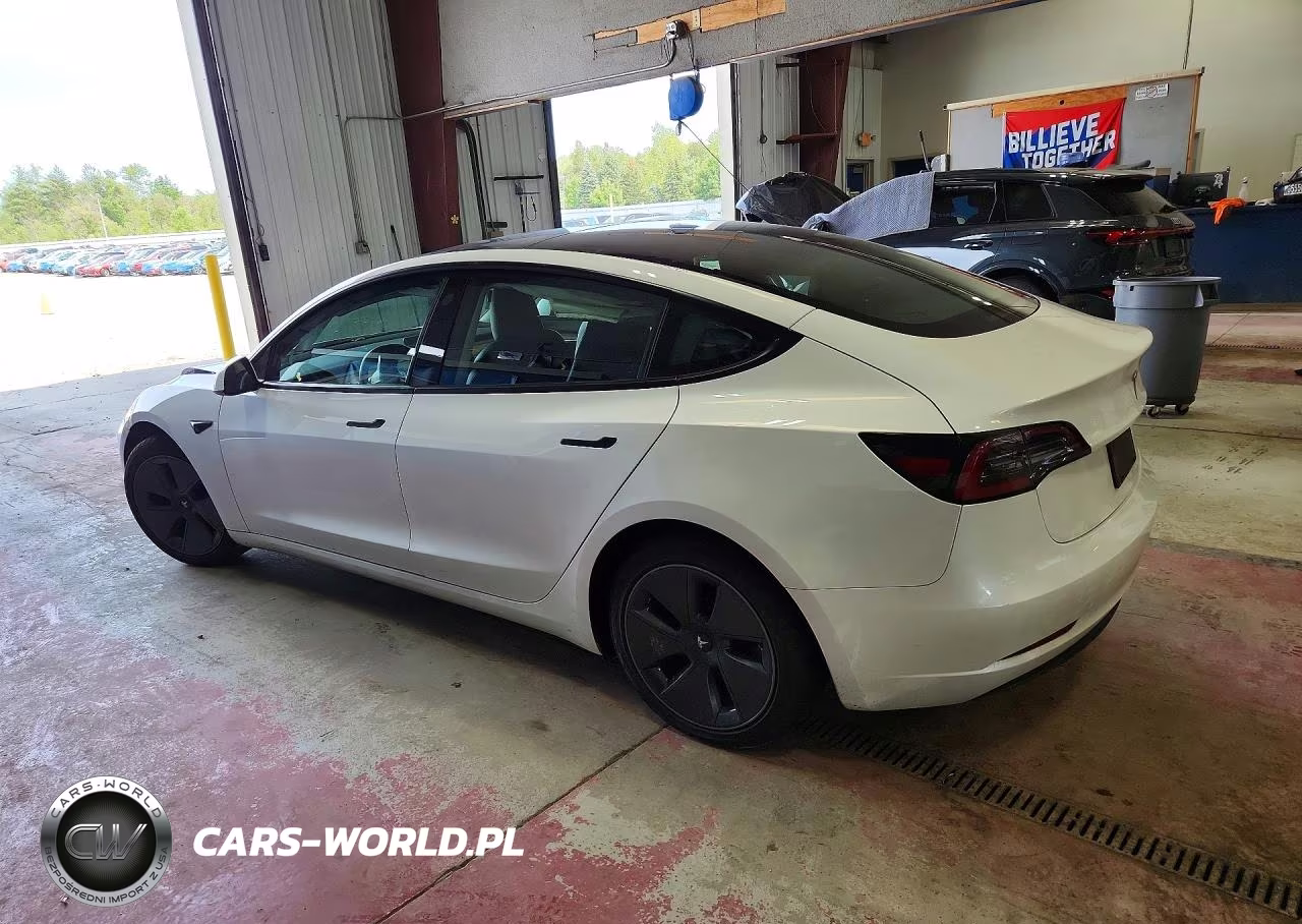 2023 Tesla Model 3 VIN:5YJ3E1EA9PF498698 - 2